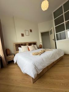 Central Rabat Retreat Explore Downtown & Medina