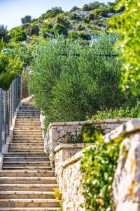 Camp Panorama with pool