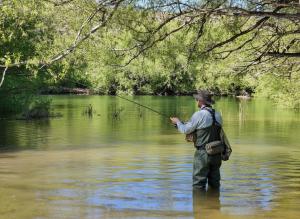 Estancia Paso Flores