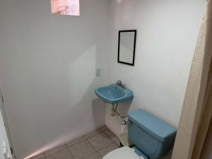 Coita Studio in Ocozocoautla downtown