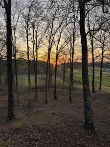Dream of a Log Cabin