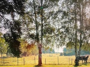 6 person holiday home in LÖTTORP