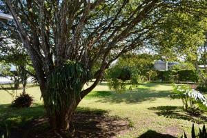 Finca Los Guaduales Exclusive Private Pool