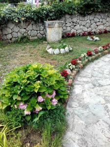 Apartment Tisno 17716b