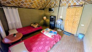 Chanaka Eco Camp ( Adventure Assam )