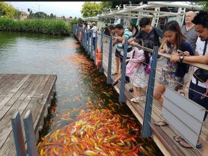 Rustic vibes Condo in Nuvali
