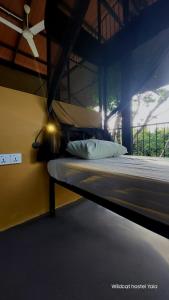 Wildcat hostel Yala