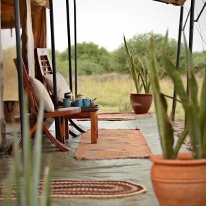 Tumaren Camp - Tent 2