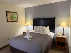 Lafayette Inn & Suites