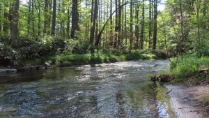 Nakanoyu Onsen Ryokan - Vacation STAY 18824v
