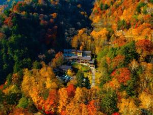 Nakanoyu Onsen Ryokan - Vacation STAY 18789v