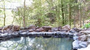 Nakanoyu Onsen Ryokan - Vacation STAY 18778v