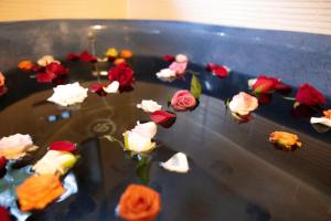 和美再美 石動 柏屋 Wabisabi Isurugi Kashiwaya