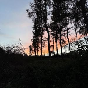 Prysm Homestay - Kotagiri