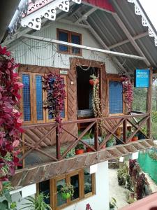 Spring Homestay