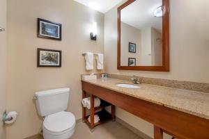 Comfort Suites Elizabethtown