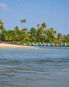 Sand Castle Beach Villa Marari