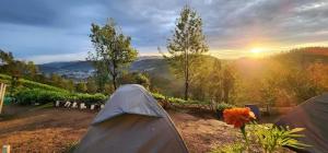 Janardan Campsite Ooty