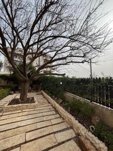 فيلا مميزة في عمان - Special Villa in Amman