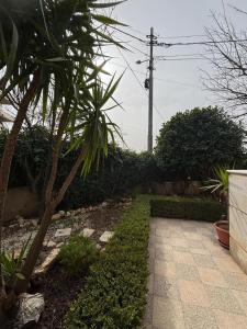 فيلا مميزة في عمان - Special Villa in Amman