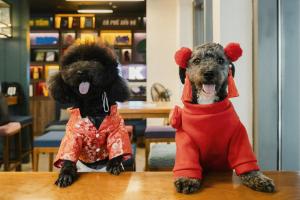 Wink Can Tho Centre, Unscripted by Hyatt - 24 Hours stay