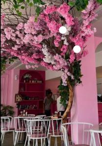 Hotel Pink Haveli