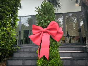 Bougain Studio Salad Beach