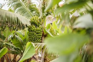 GuestReady - Funchal Hideaway with BBQ