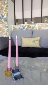 T1 bis avec parking à 10 min à pied du centre