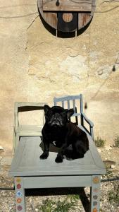 MOZa LUZe - Off Grid Casa Rural
