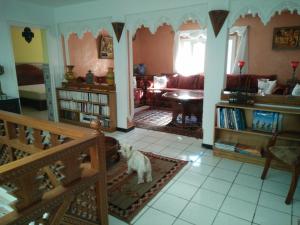 Riad Fadela