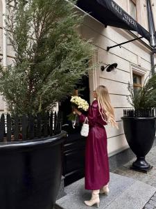 Wall Street - Maestro