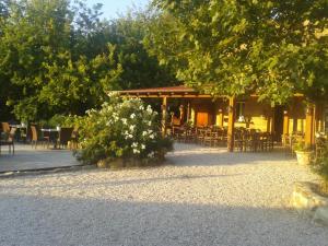 Camping Podere Sei Poorte - ConTENTissimo