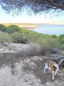 Bajo con vistas al mar