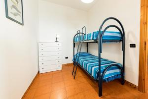 Lily Flat - San Foca