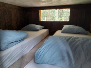 Mirabel - DreamsCanGrow