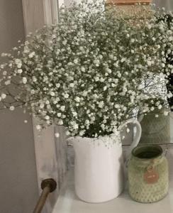 100 qm Ferienwohnung Am Heiligen Brunnen