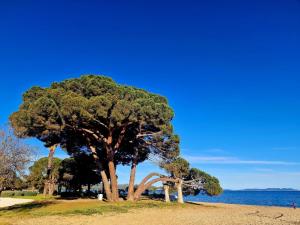 T3 climatisé vue mer La Londe-les-Maures