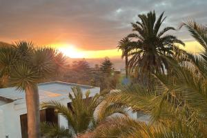 Villa Tres Palmeras