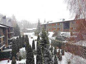 Apartament 5 persones Llar de Foc i Piscina