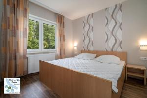 Wald und See Dargun 16b