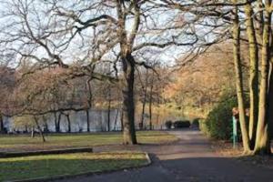 Winchmore Hill- Ground Floor Studio