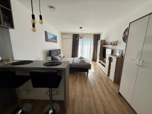 Royal Apartmani 1
