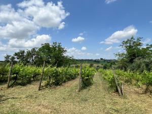 Agriturismo Santa Luce