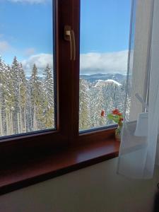 Пампорово студио Милка в хотел Росица