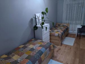 Apartament Honoratka
