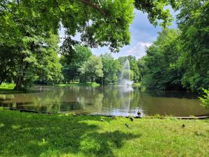 Apartament w Sercu Parku - Dąbrówka Cieplce