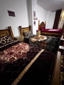 Salem Guesthouse Experience