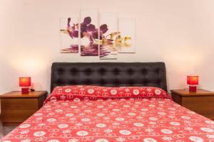 Villa Oasi dei Fenicotteri