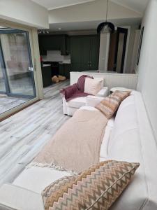 Luxury house near aviva stadium